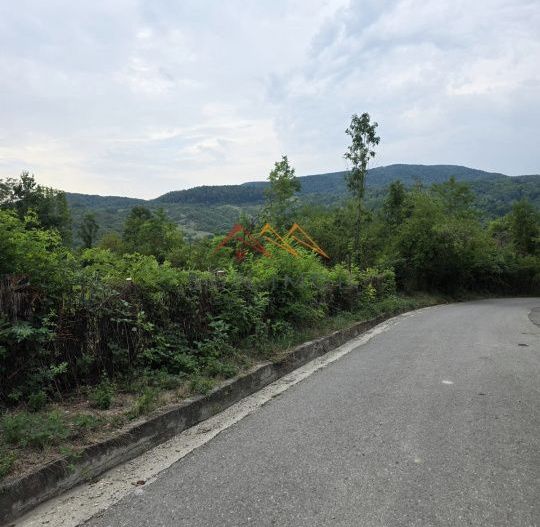 Teren Intravilan, utilitati in zona, 2600 mp, Draganeasa, Prahova - Poză 6