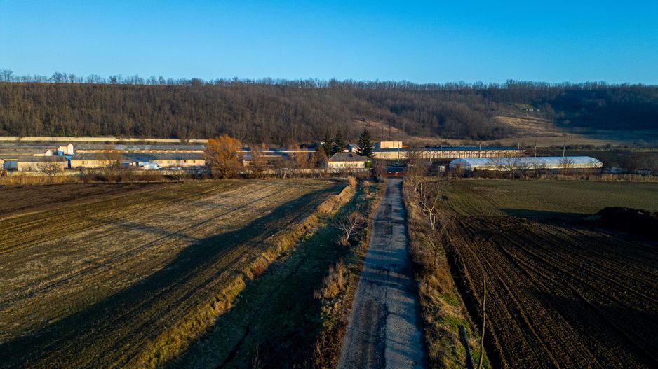 Fosta Ferma a Partidului de la Horgesti - de vanzare - Poză 5