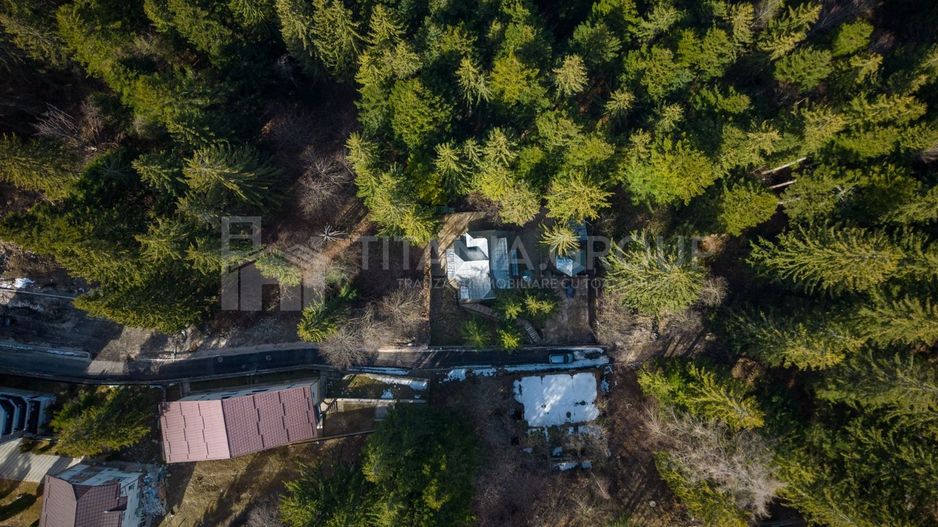 Vila superba mobilata si utilata, Cioplea - Predeal, langa padure - Poză 29