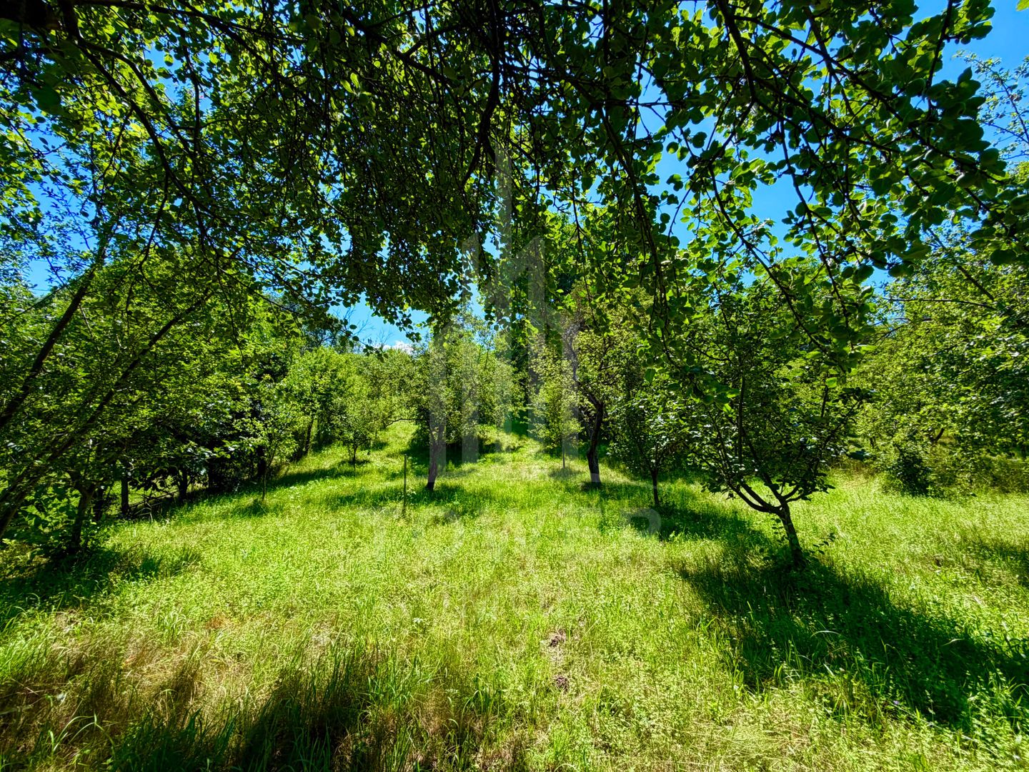 Casă de vânzare-teren 2.300 mp| Ocna Sibiului - Poză 26