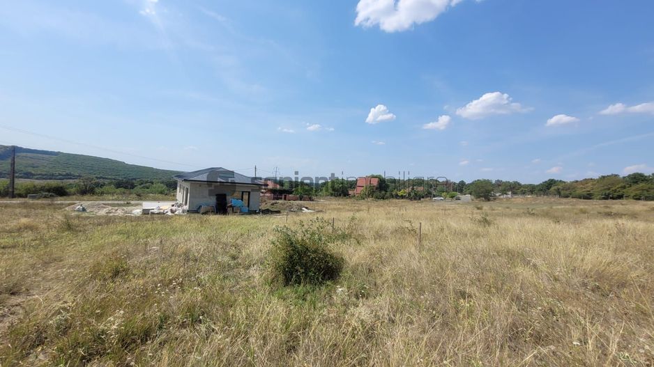 Teren Betfia Padure - Poză 3