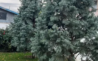 Spațiu de birouri de închiriat în Sud-Vest, Tulcea - Poză 14