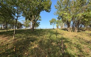 Casă cu teren generos în Șelimbăr – locație liniștită, ideală pentru familie - Poză 11