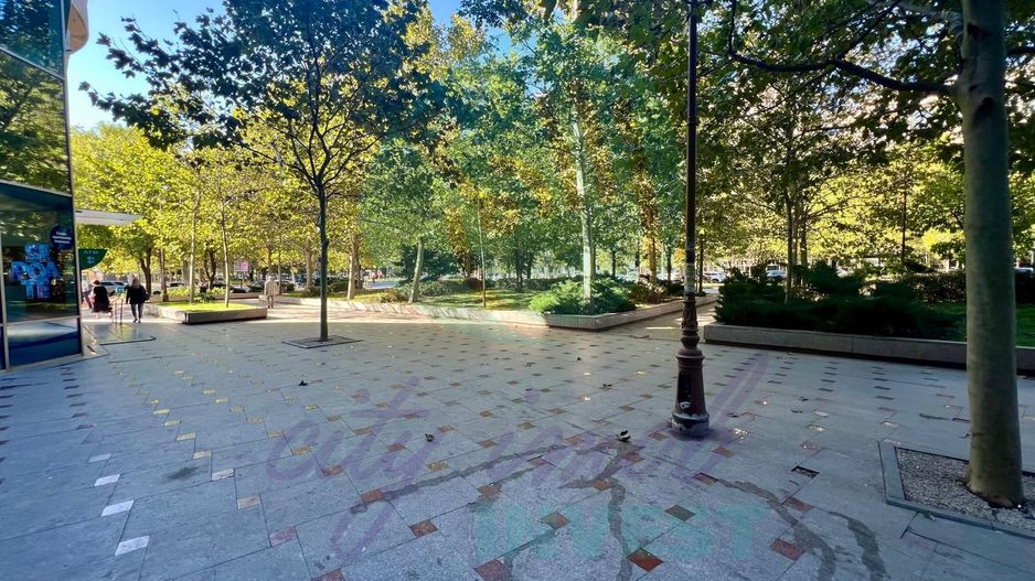 Oportunitate Apartament 2 camere, 67 mp, – Bulevardul Unirii - Poză 10