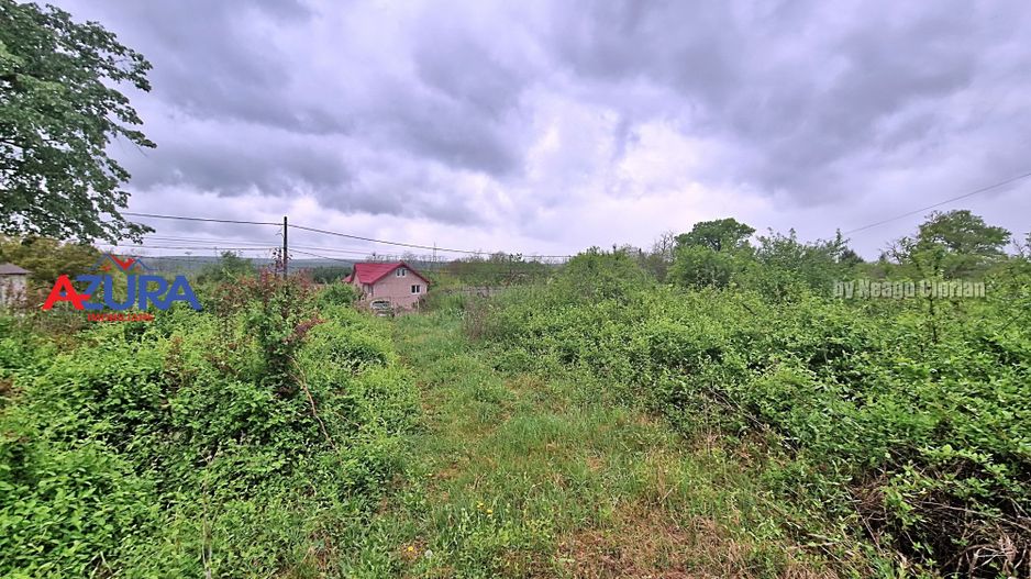 AZURA Imobiliare - Teren Budeasa Galasesti - Poză 5
