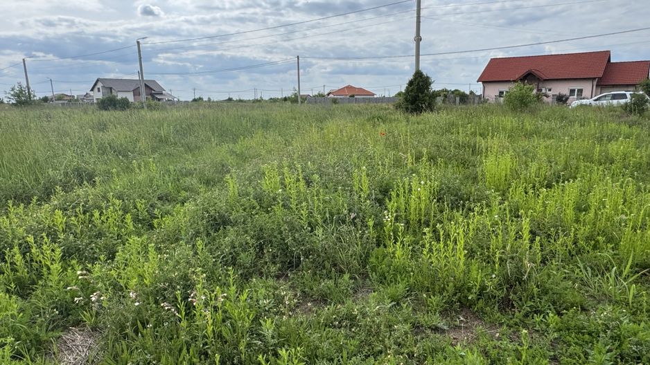 Teren Intravilan Dudestii Noi 638mp,Fs 24m,Utilitatile In Fata Parcelei,Asflat - Poză 2