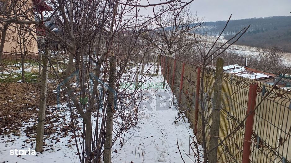 Teren intravilan 704 mp, acces asfaltat, priveliste Padurea Breazu - Poză 14