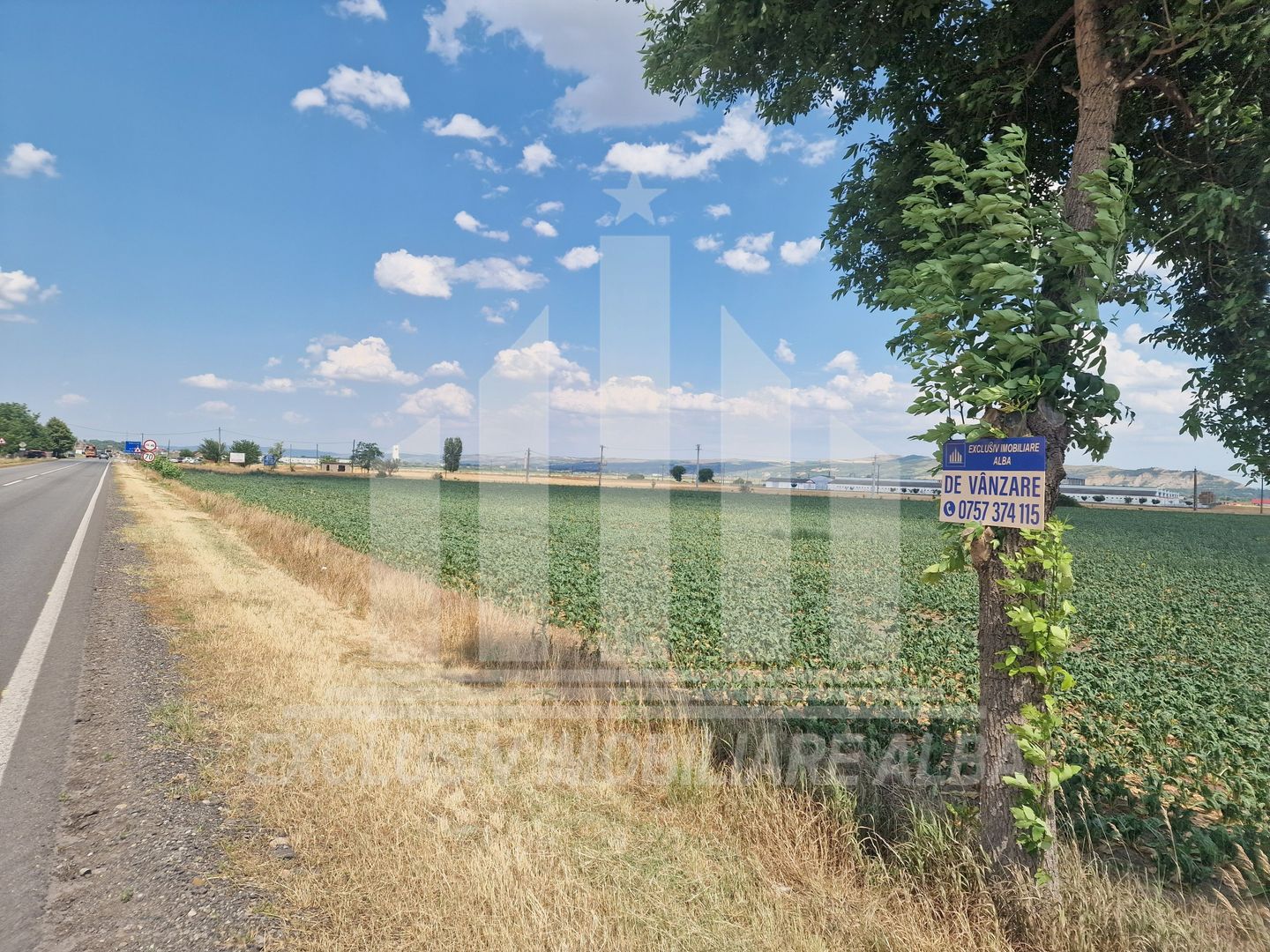 Teren agricol la sosea, pretabil si ptr constructii industriale - Poză 1