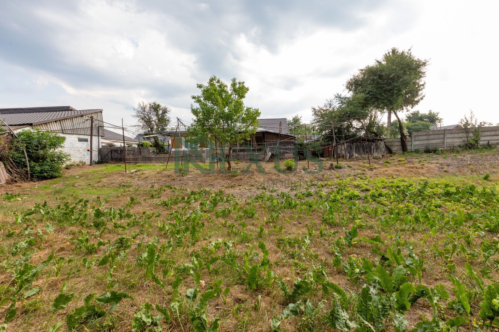 TEREN 949 MP CU CASĂ – STR. MILITARI, BACĂU | OCAZIE RARĂ - Poză 1