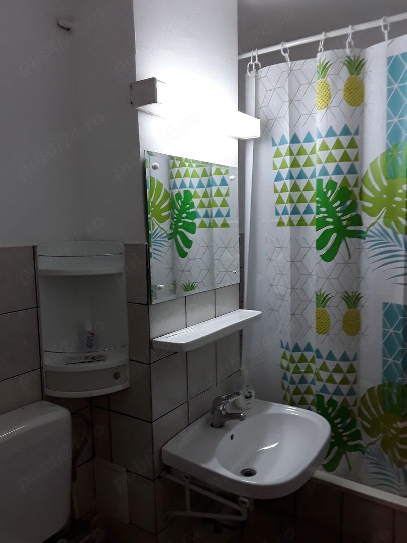Apartament Unirii // Goga - Poză 5