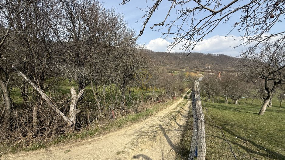 OPORTUNITATE !Teren 1 Hectar Strada Nucului -PRIVELISTE PANORAMICA - Poză 6