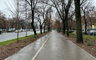 Unic, intre Victoriei si Charles de Gaulle - Poză 2