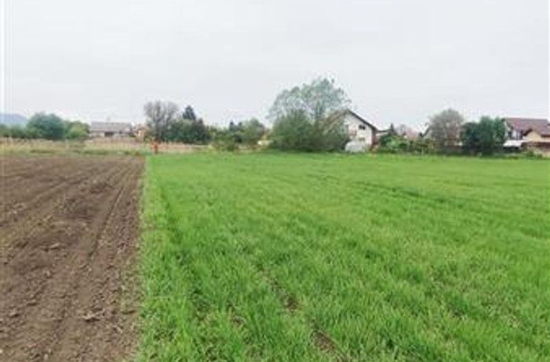 teren intravilan Stupini-Albinelor - Poză 5