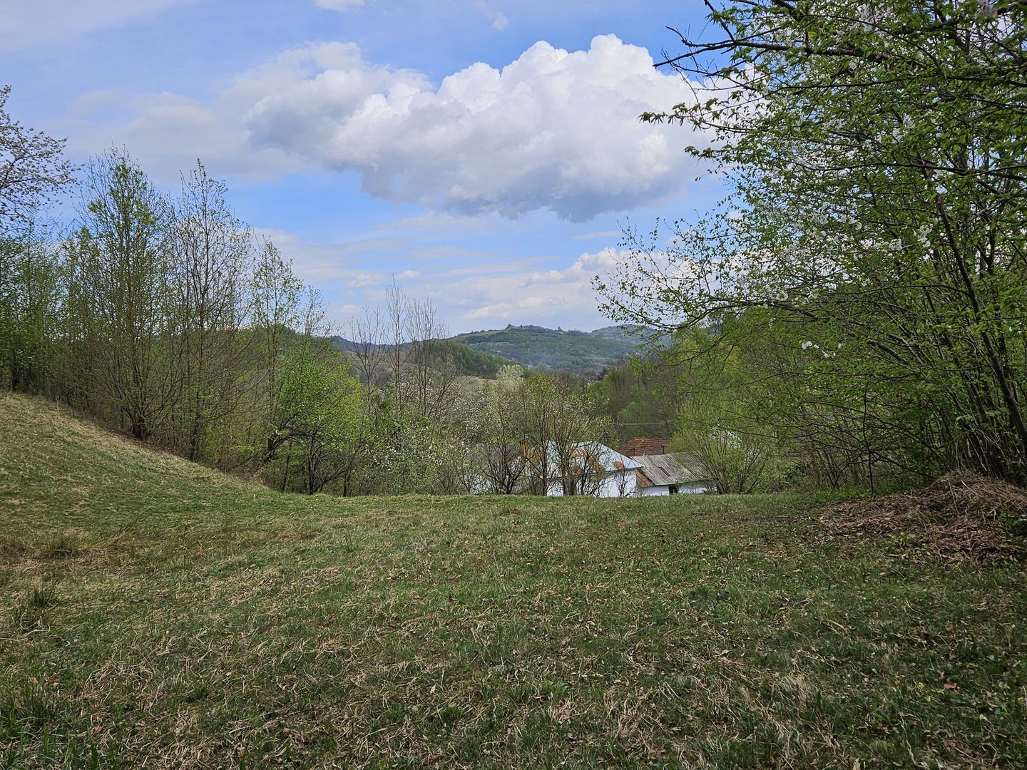 Teren intravilan 1454 mp la marginea padurii zona locuita de case! - Poză 2