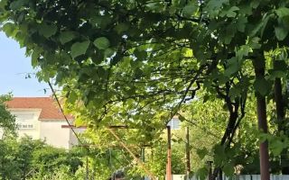 Casa individuala | Acces Auto | Teren 460MP | C. Dumbravii - Poză 7