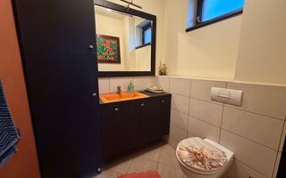 COMISION 0%. Casa individuala in centrul Dumbravitei. Oportunitate imobiliara - Poză 9
