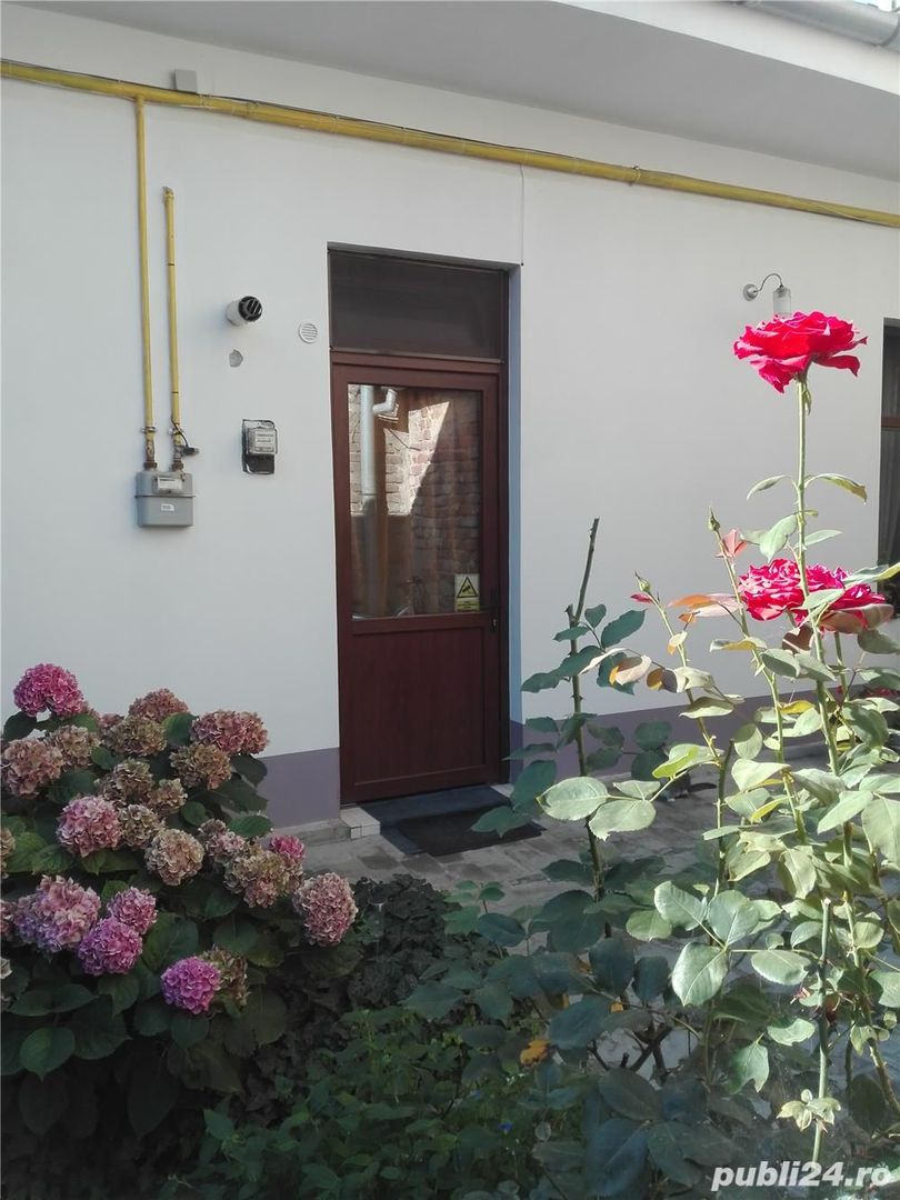 Apartament 2 camere zona Iosefin - curte comuna - Poză 11