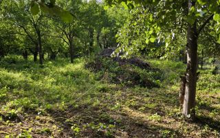 Teren intravilan 10 ari, zona Grigore Ureche, PUZ! - Poză 4