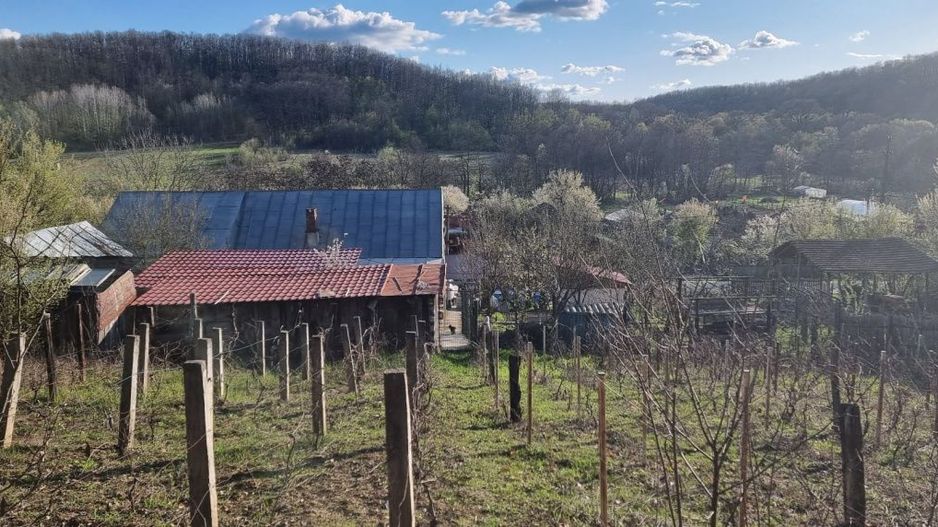 Casă P+M cu 1.558 mp teren, livadă și garaj | Barza, Gorj Comision 0%  - Poză 18