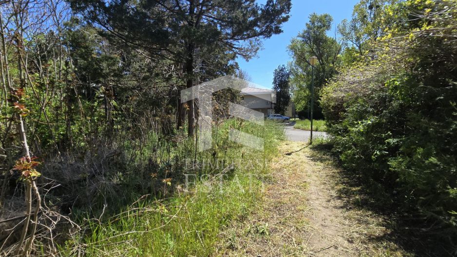 🏖 Teren de vanzare in Neptun – O oportunitate rara de investitie. - Poză 17