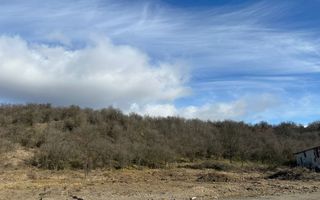 Teren de vânzare – DN72A, Dragomirești | 3.500 mp | deschidere la drum național - Poză 2