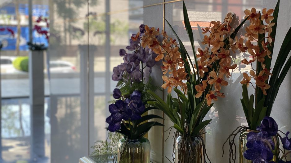 Apartament 3 camere Floreasca - vedere spre Lac - Poză 6