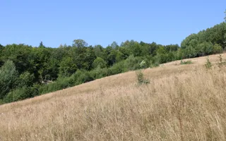 Terenuri Carpinis I parcelabil I Curent pe proprietati - Poză 46