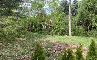 Teren Extravilan situat la intersectia DN1 cu Transfagarasan - Poză 6