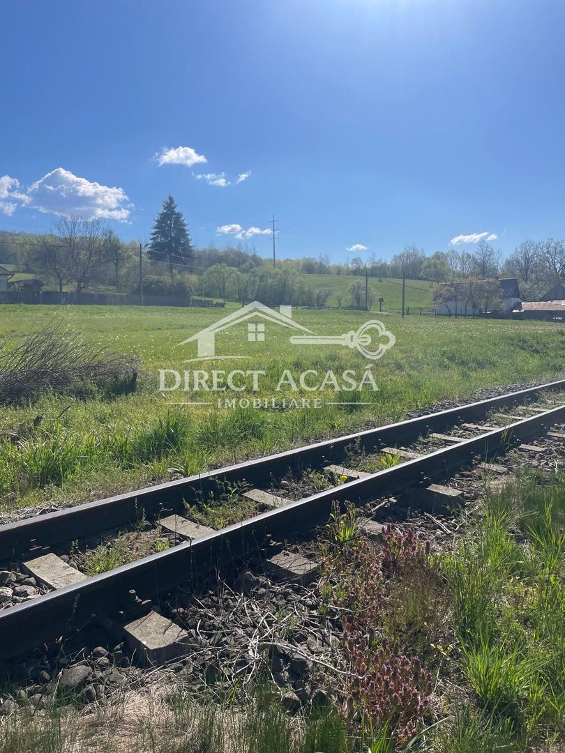 Teren intravilan 8900 mp-Sacadat-Sovata - Poză 2