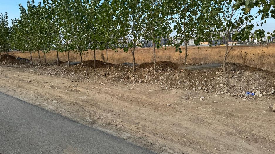 Teren 9400 mp Strada Gura solcii - Poză 10