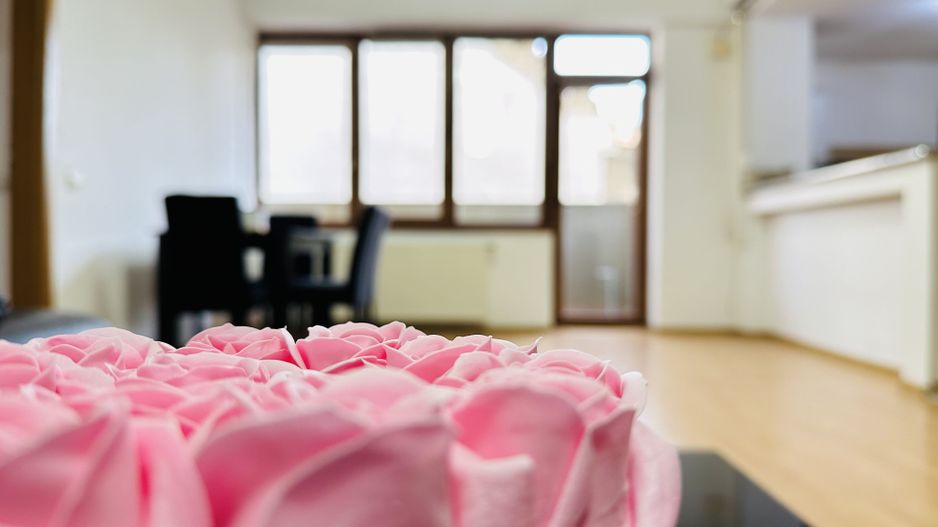 Strada Putna - Facultati Timisoara | 3 camere, spatios | Terasa, Et 1 - Poză 10