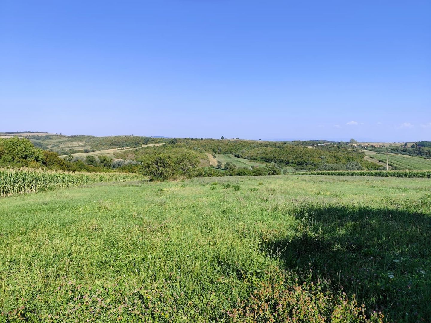 Casa la tara de vanzare, teren mare, 2 intrari auto - Calea Mare, Biho - Poză 20
