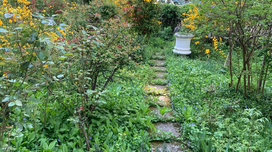 Apartament zona TITAN - Închiriere - Poză 2