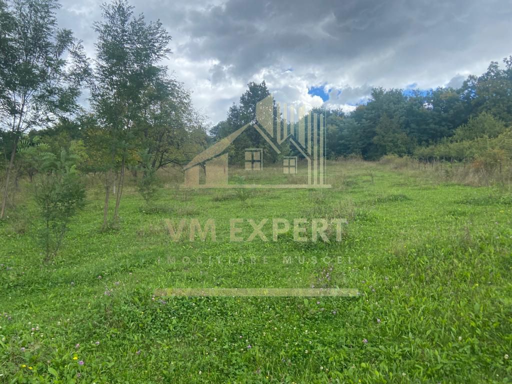 TEREN INTRAVILAN CAMPULUNG FORMAT DIN 4 LOTURI - Poză 3