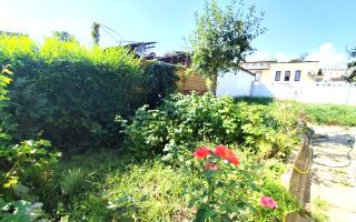 Casa 3 camere I Teren 548 mp I Garaj I Zona Trei Stejari - Poză 13