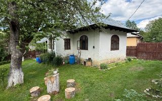 2 Case + teren 1390 mp langa parcul central Provita de Sus - Poză 25