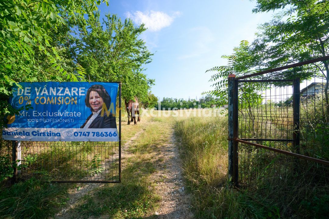 Teren Intravilan 1100 mp + Anexă 120 mp - Budeasa, Calotesti! - Poză 13