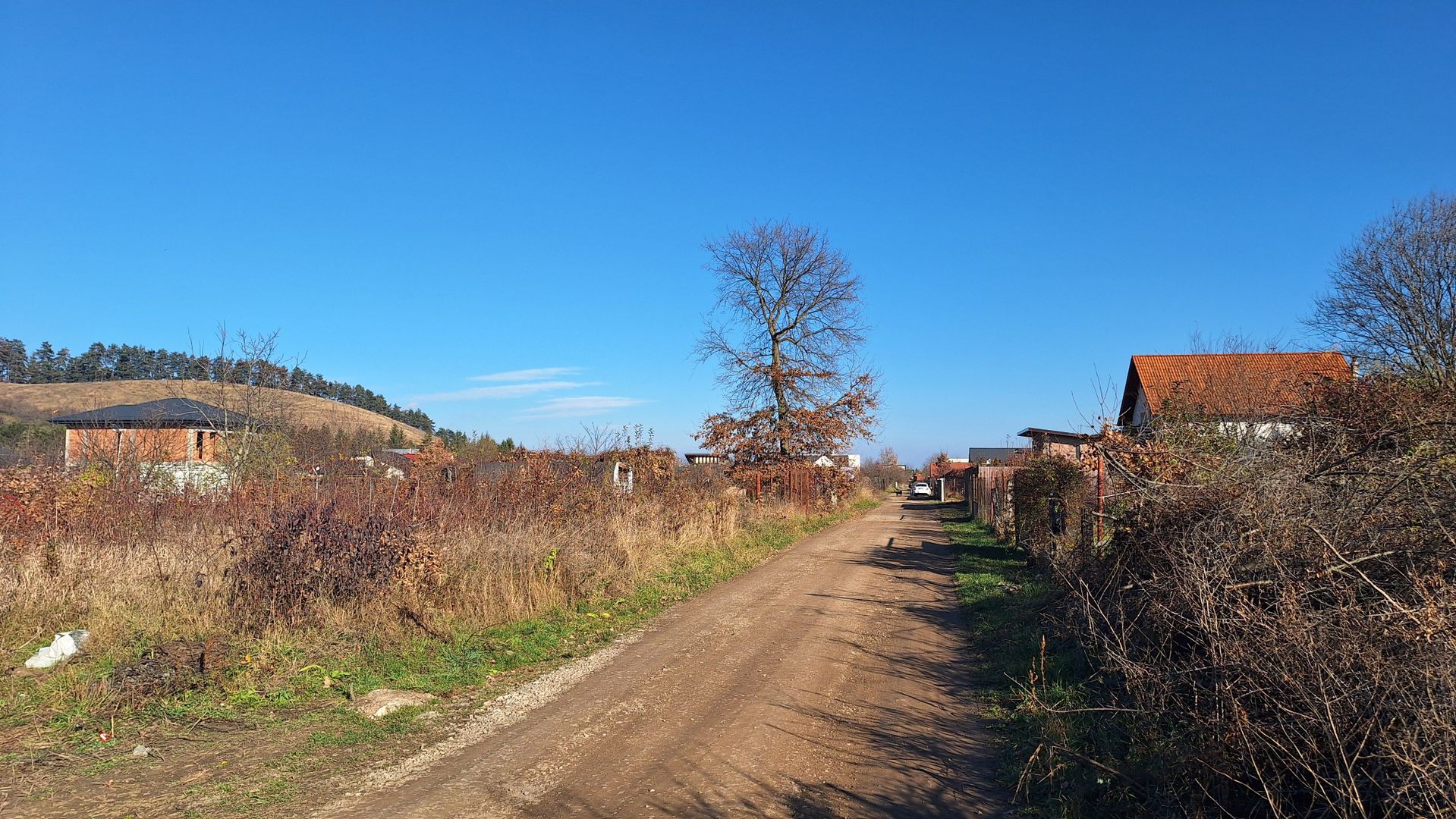 Teren intravilan Sanpetru livada PUZ 2564mp - Poză 8