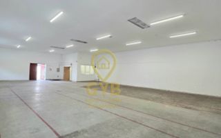 HALĂ DEPOZITARE / PRODUCȚIE DE ÎNCHIRIAT – 245 MP - Poză 3
