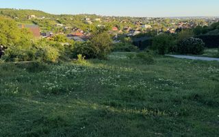 ⭐  Teren de 2.700 mp cu front generos – Ocazie în Oncea - Poză 11