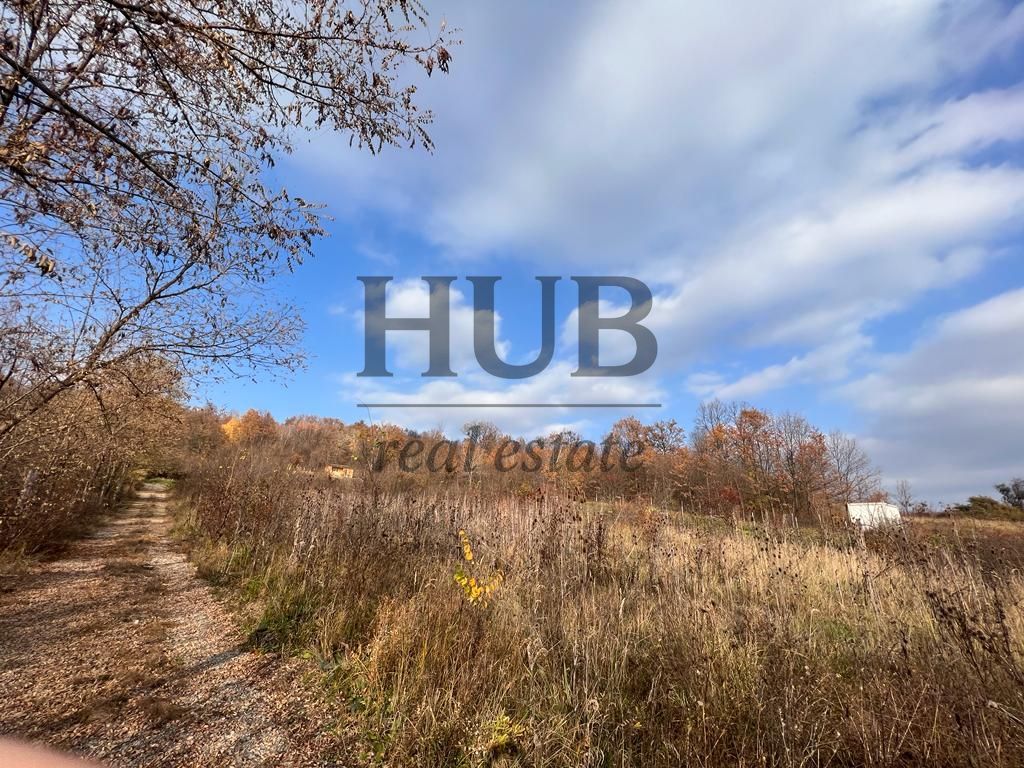 TEREN 1095MP -PODIS -DN 2G- BACAU -MOINESTI - Poză 1