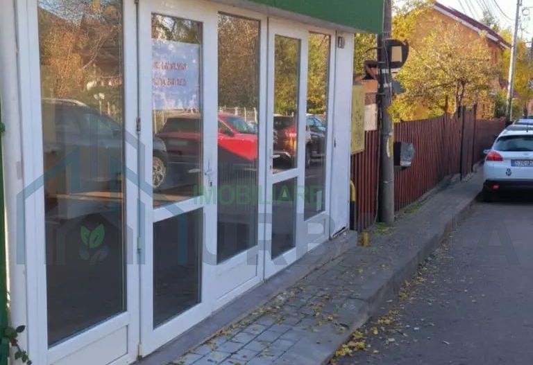 Spațiu comercial de închiriat zona Palatul Culturii, Iași, 20mp - Poză 1