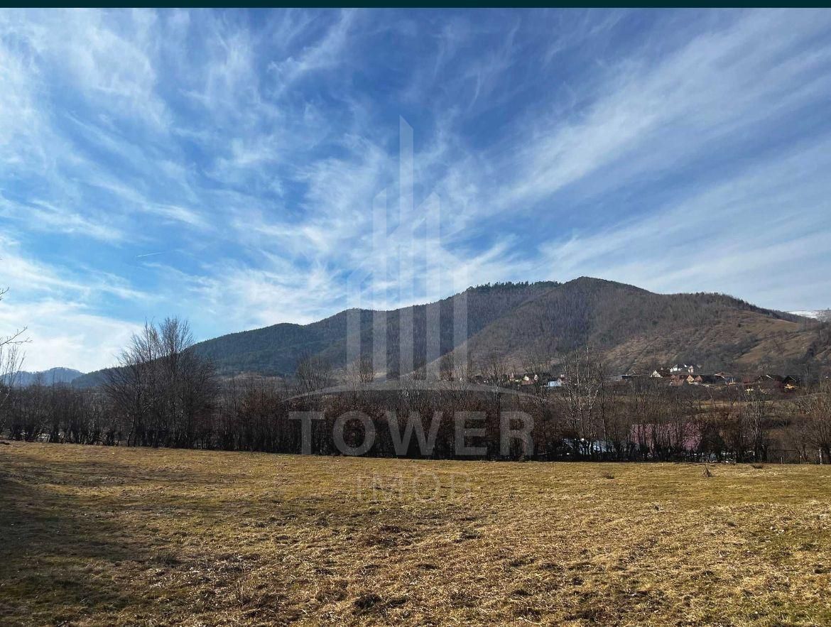 Teren intravilan 2.295 mp, deschidere 60 m – Rășinari, comision 0% - Poză 5