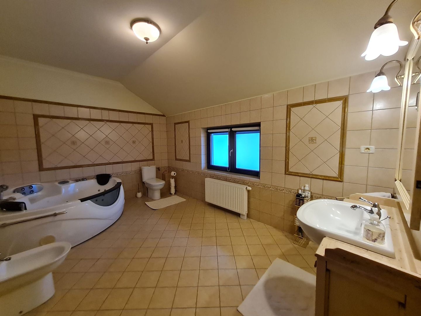 Poziție de top în Dumbravita - Poză 11