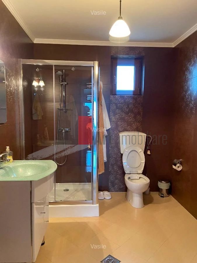 Vila Pantelimon - Padure - Poză 12