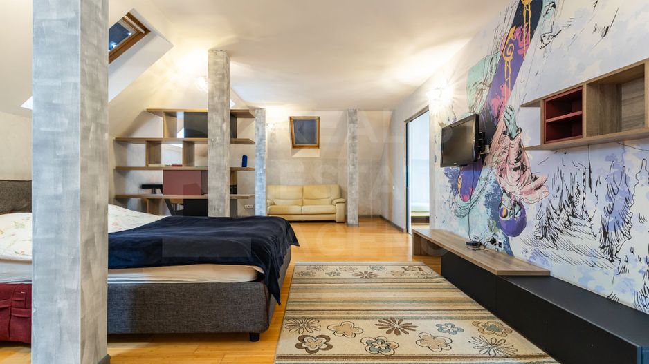 Chirie, casă, 3 nivele, 8 camere, str. Universității, Centru - Poză 7