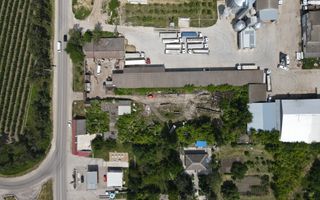 Vânzare, teren, 43,5 ari, str. Olimpica, Briceni - Poză 8