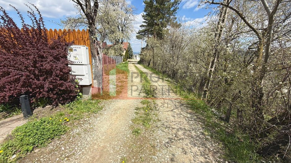 Casă 5 dormitoare + casă de oaspeți, priveliște Piatra Craiului, Sohodol-Bran - Poză 41