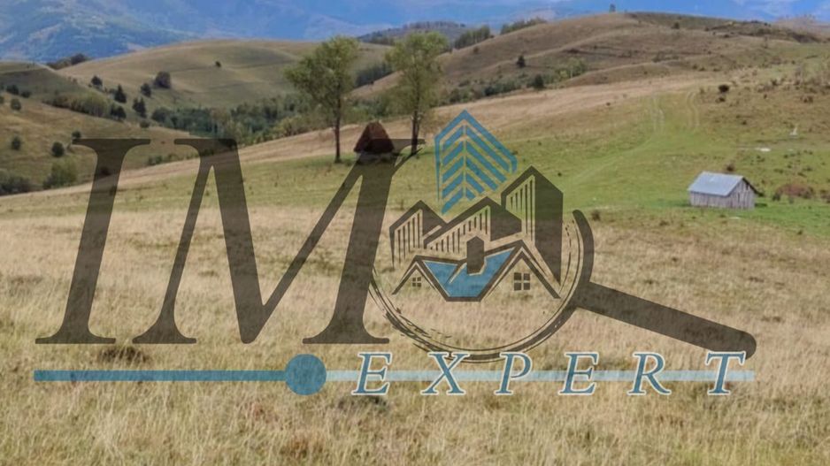 Teren extravilan Transapuseana - Poză 3