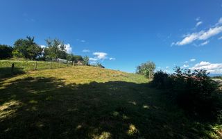 TEREN INTRAVILAN,  SUPRAFAȚA 3446 MP, BUGHEA DE SUS, ARGES - Poză 4